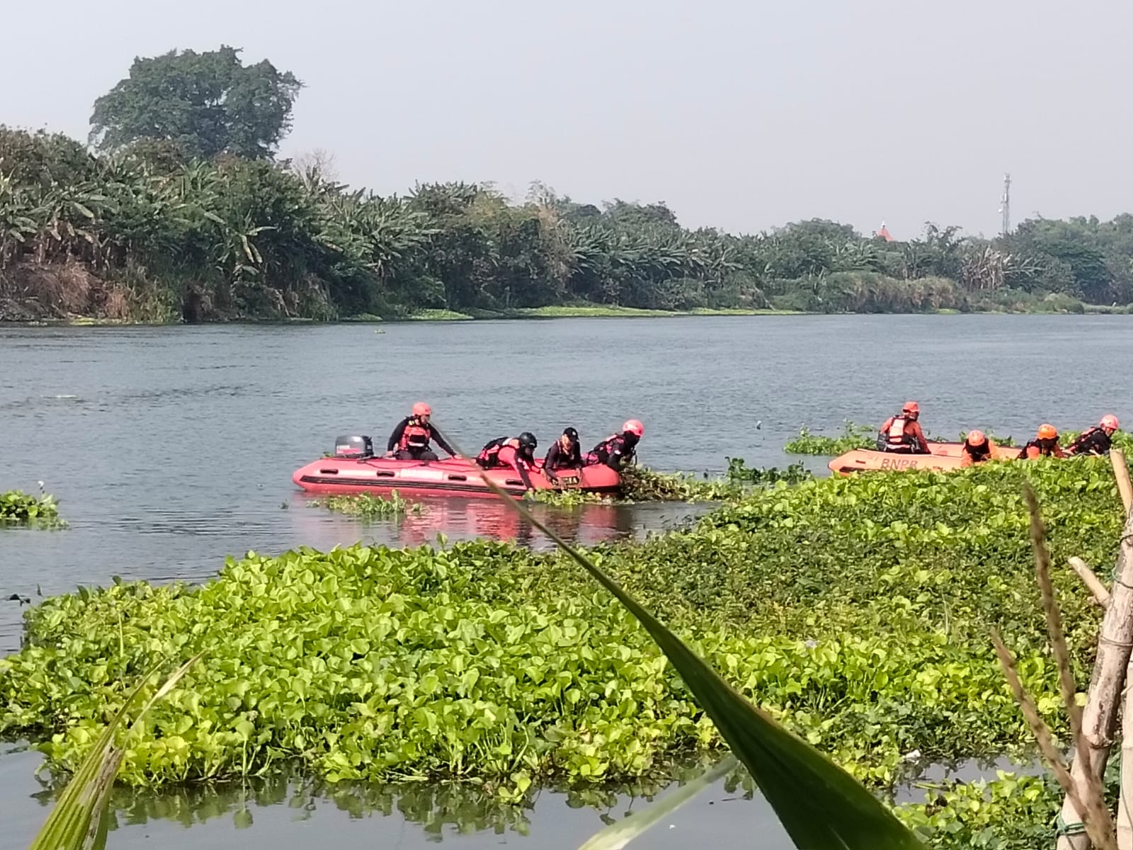Tim SAR Gabungan Temukan Warga Desa Menturus Yang Tenggelam Di Sungai Brantas, Kab. Jombang